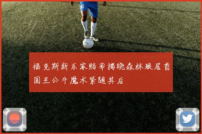 福克斯新东家赔率揭晓森林狼居首国王公牛魔术紧随其后